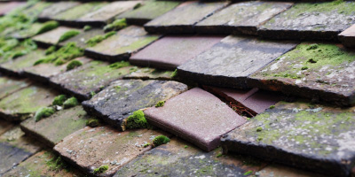East Langton roof repair costs
